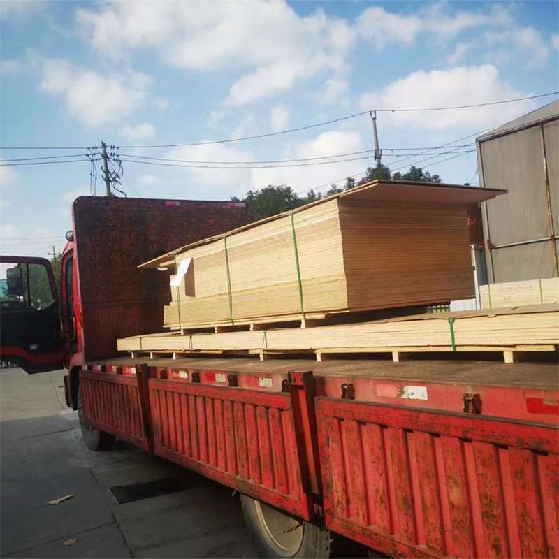 河南商丘宁陵县至塔城货运专线，一站式物流服务助您成功
